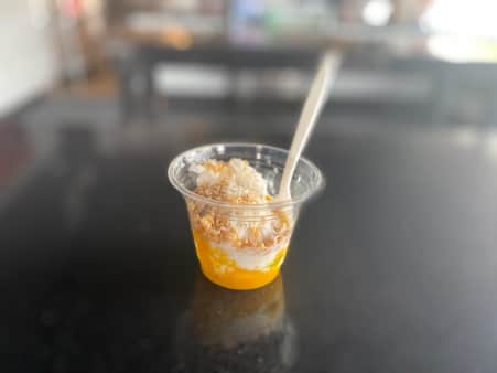 Coconut Mango Rice Pudding