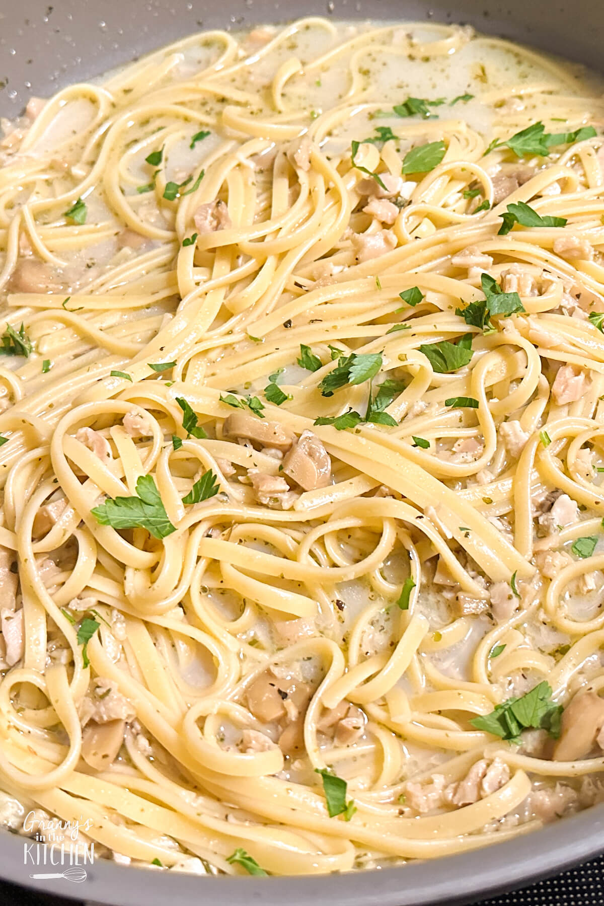 Linguini with Clam Sauce - Small