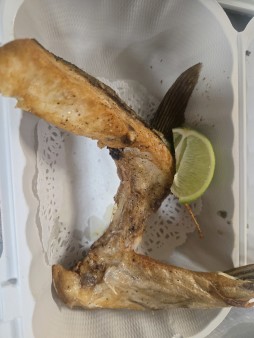 Hamachi Kama (Ap)