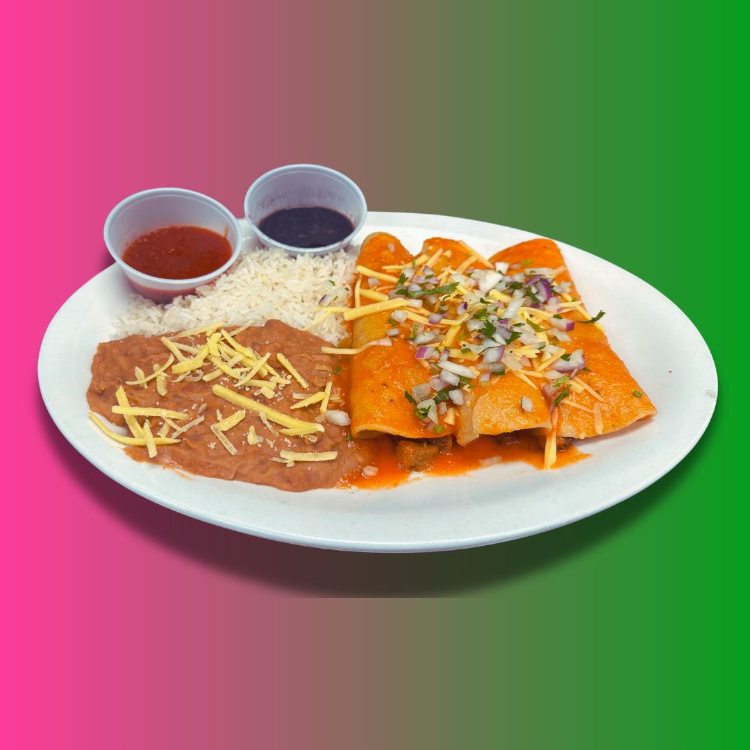 BIRRIA VEGAN ENCHILADA
