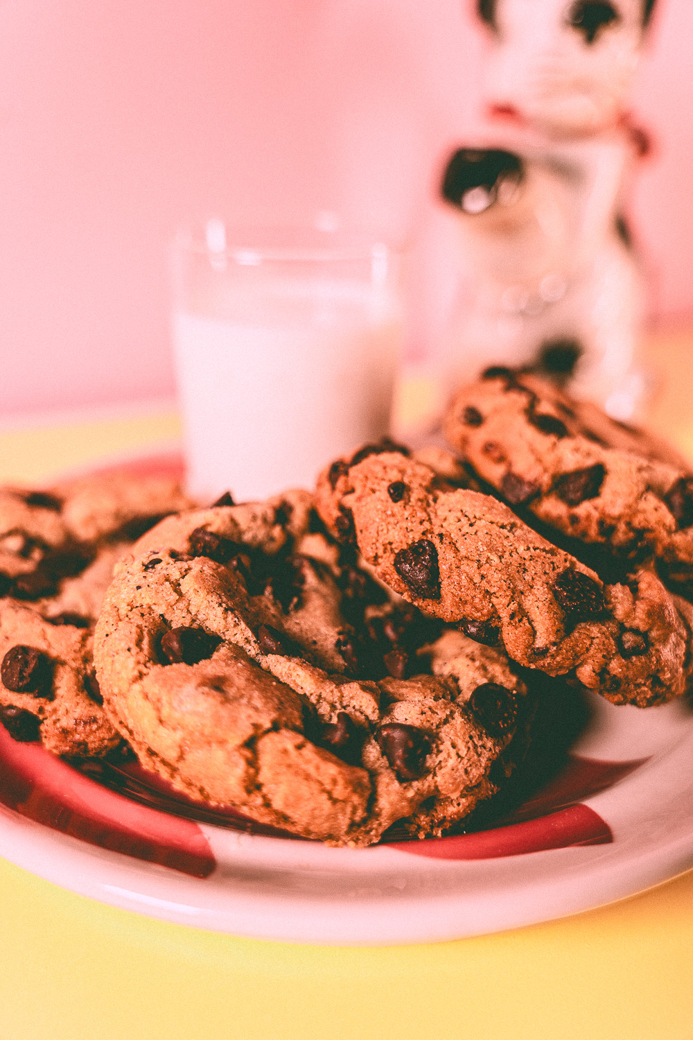 Chocolate Chip Cookie
