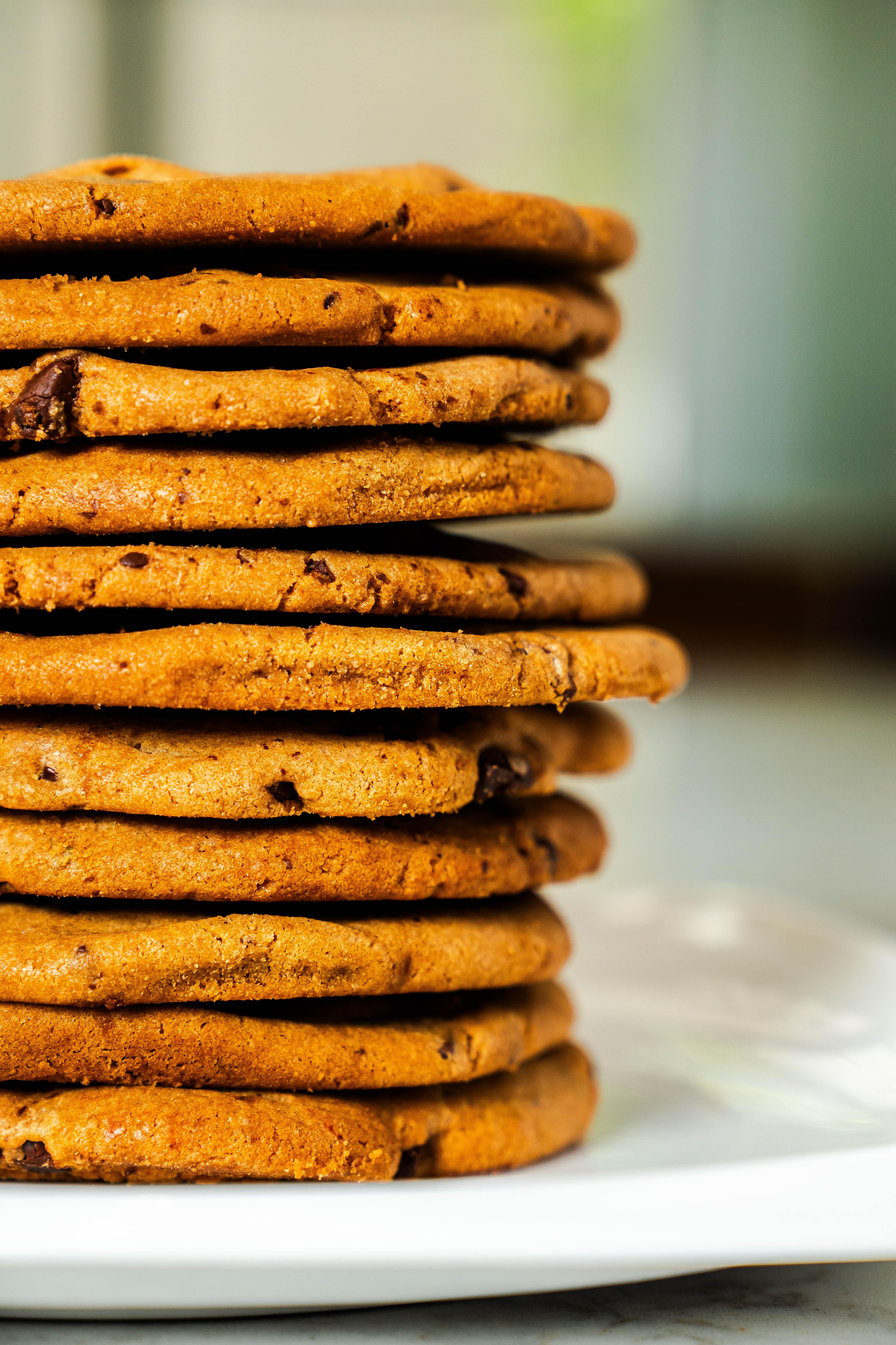 Fresh Baked Chocolate Chip Cookie